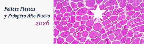 Felices Fiestas y Próspero Año Nuevo 2026